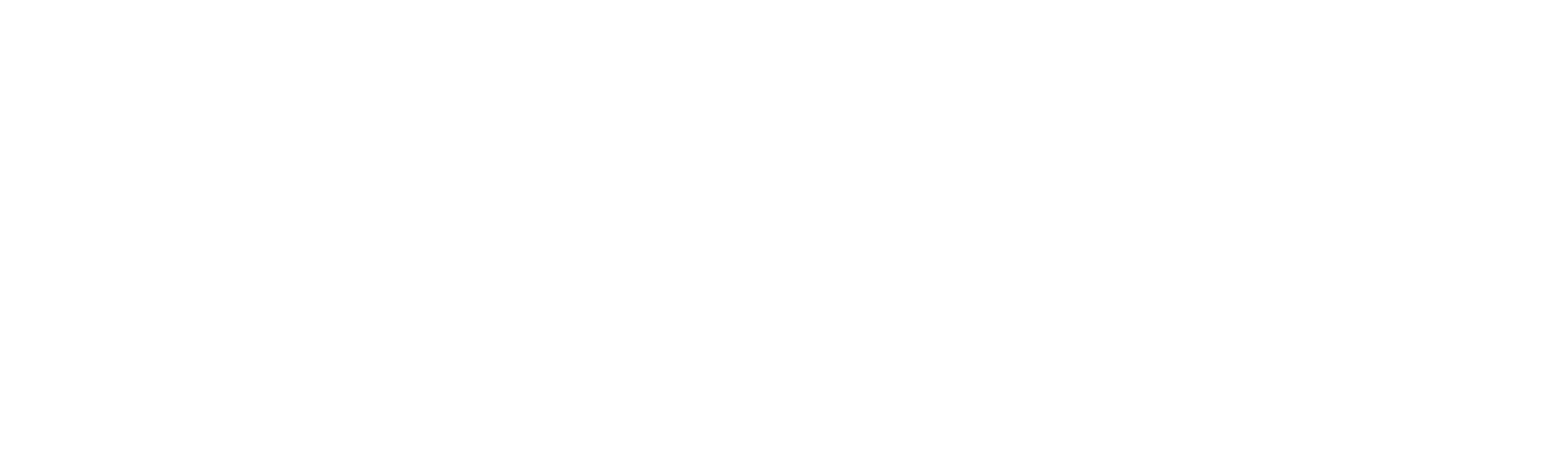 logo_aces-01